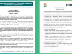 Admite juzgado ampliación de amparo contra ley ambiental de Quintana Roo: DMAS