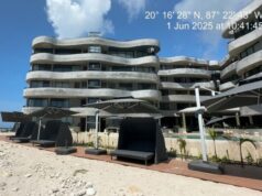 Jaguar Negro | El desacato contumaz que nadie más ve en Tulum ni en Quintana Roo