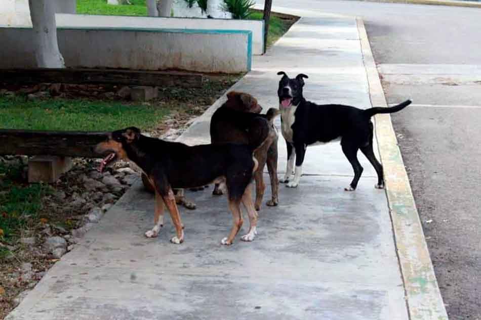 IMG-20260114-WA0028
