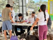 Aplican 896 dosis en campaña antirrábica en Cancún