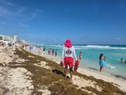 Enfrenta Quintana Roo arribo atípico de sargazo en playas del sur y norte del estado