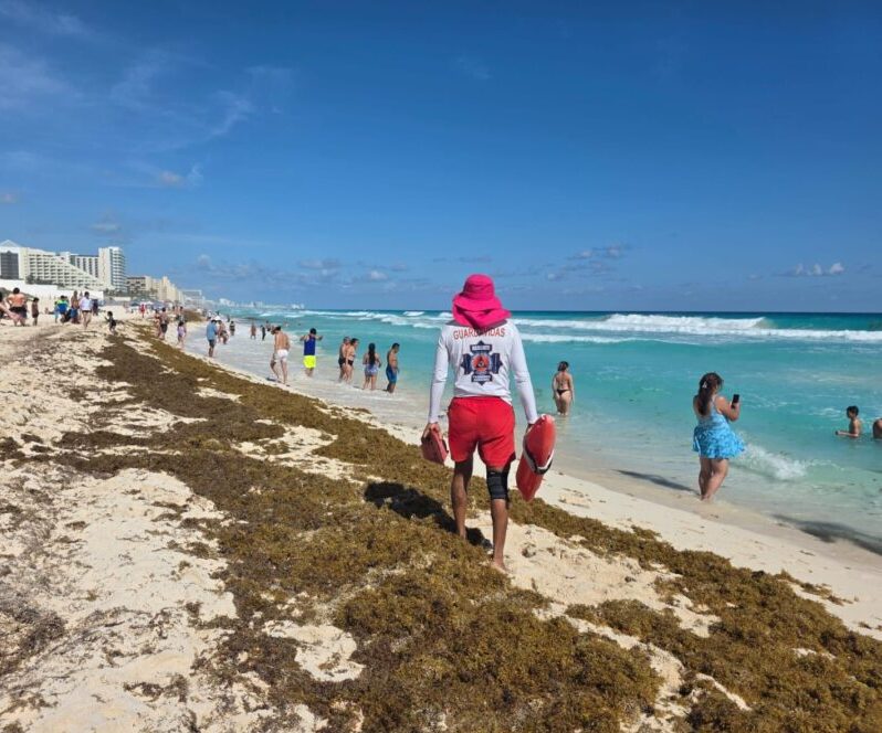 Sargazo Cancún