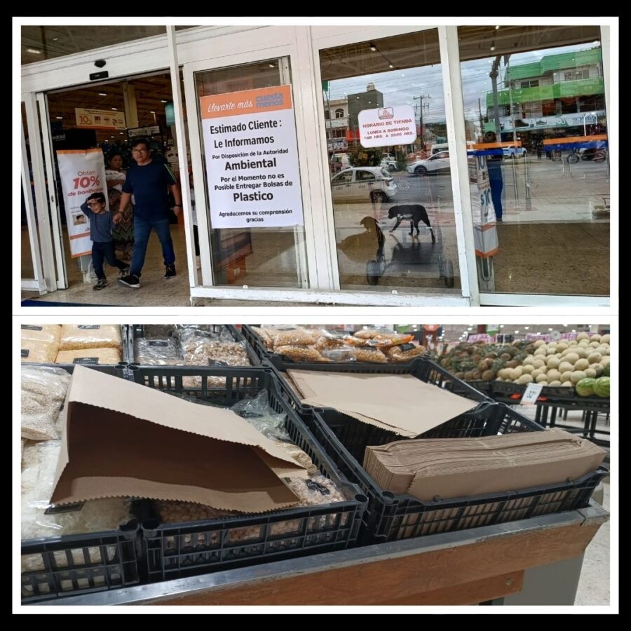 Sustitución de bolsas de plástico