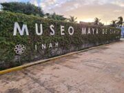 Exposición de Picasso llegará a Cancún en 2026 tras suspenderse en 2025