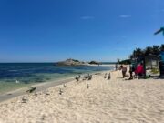 Piden equipar playas de Tulum para personas con discapacidad