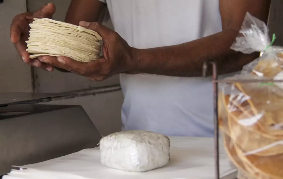 tortilla